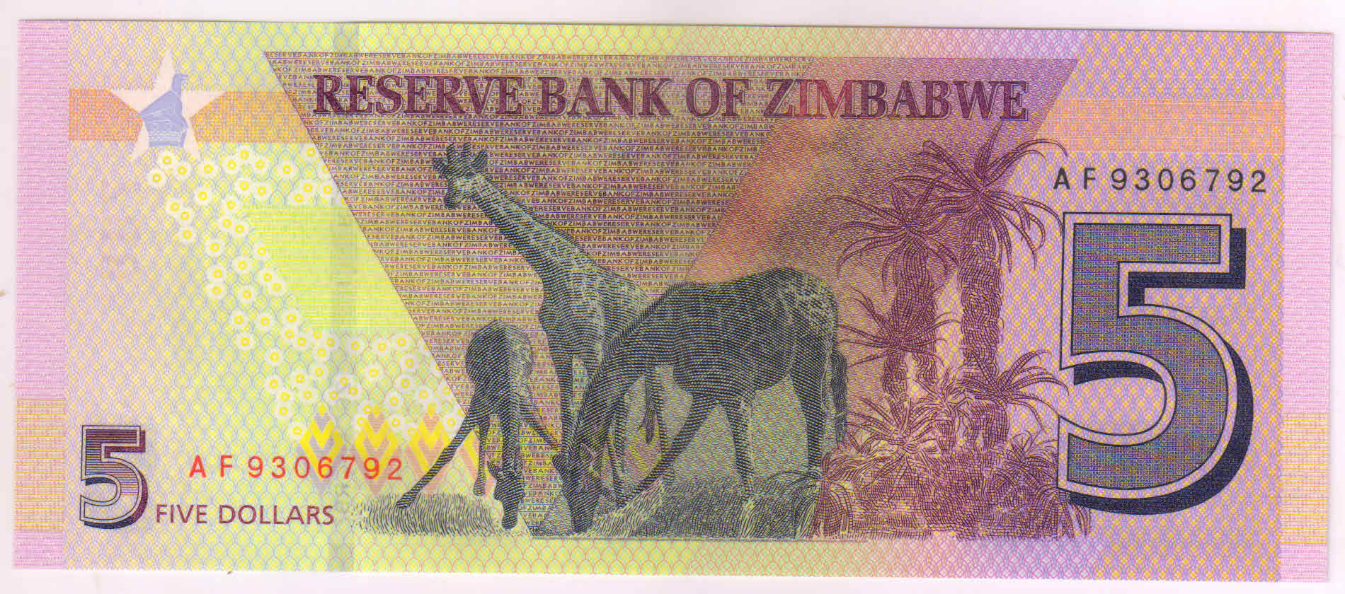 Zimbabwe 5 dollars 2020 unc currency note KB Coins & Currencies