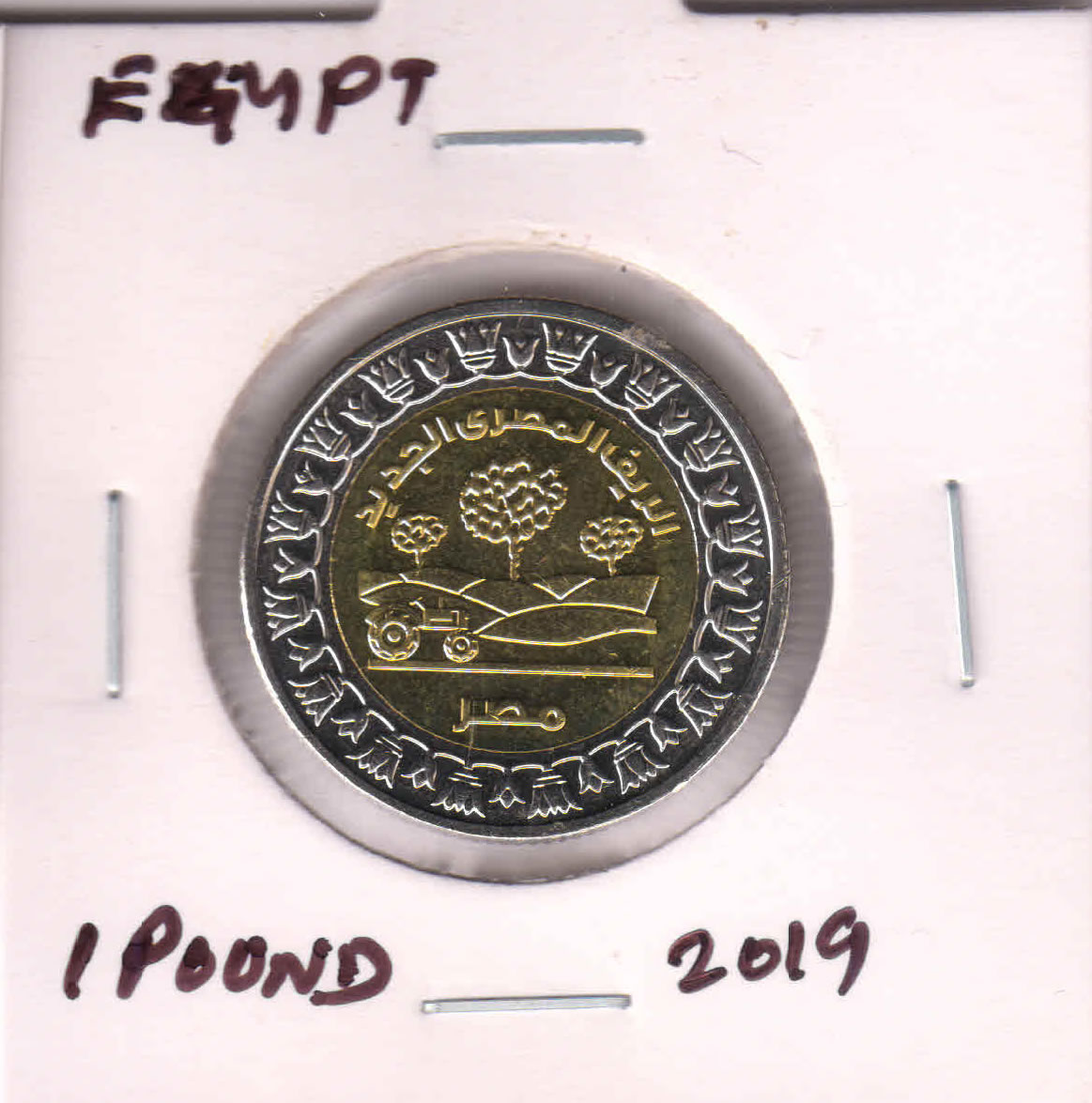 Egypt 1 pound 2019 unc bimetal coin E2 - KB Coins & Currencies